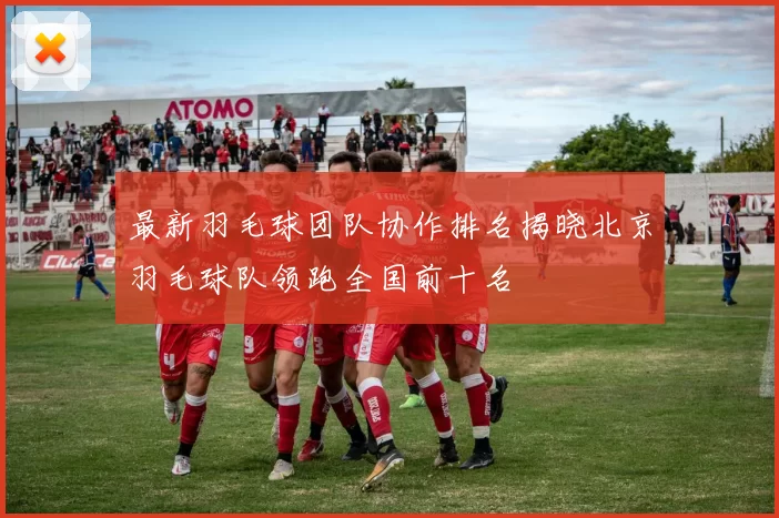 最新羽毛球团队协作排名揭晓北京羽毛球队领跑全国前十名